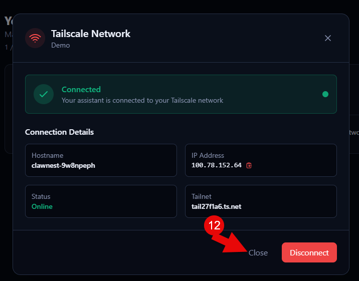 Tailscale Network dialog showing Connected status with hostname, IP address, and tailnet.